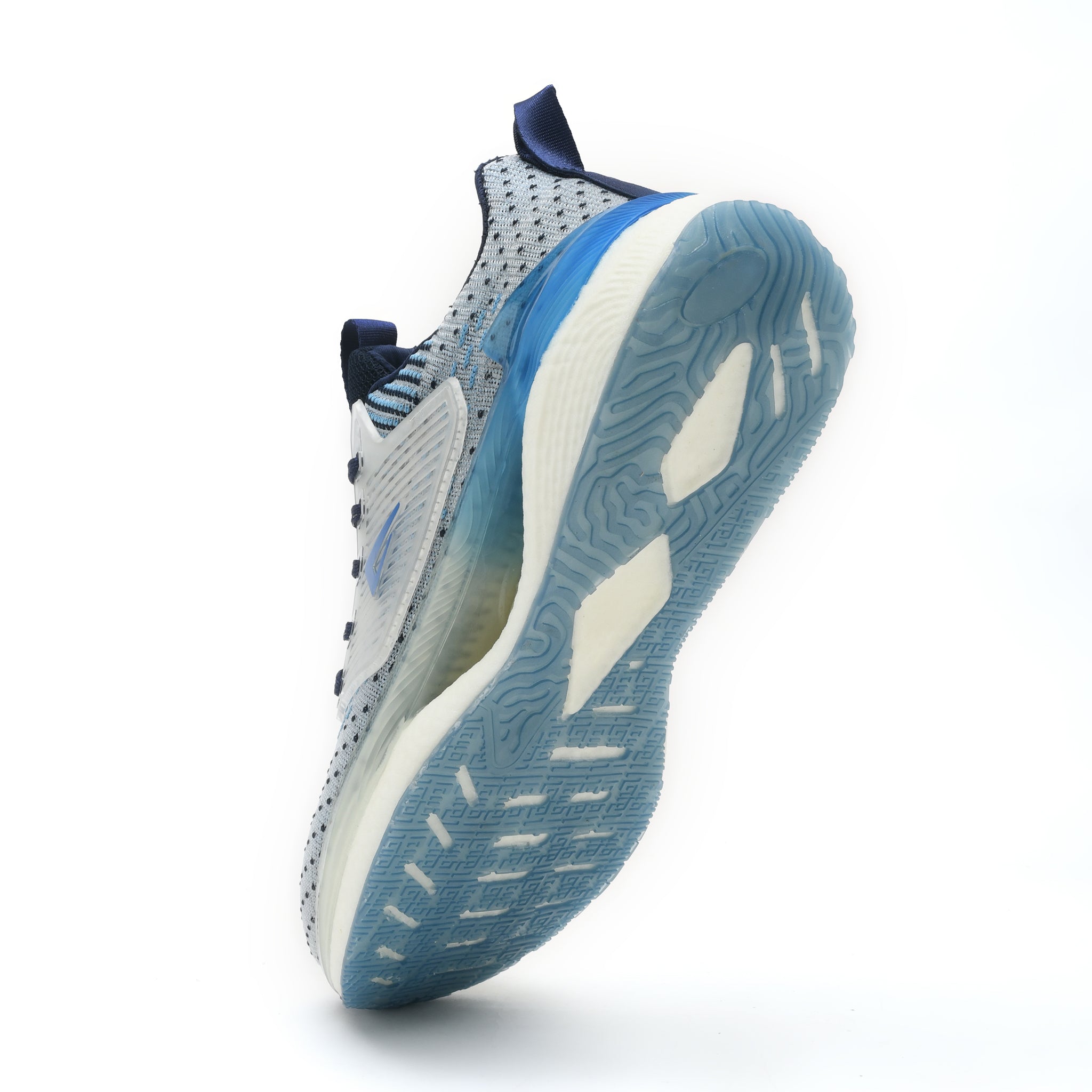 Ajanta21112312171copy